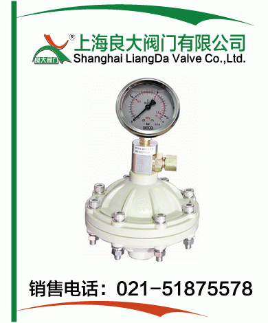 PP、PVDF脈沖阻尼器